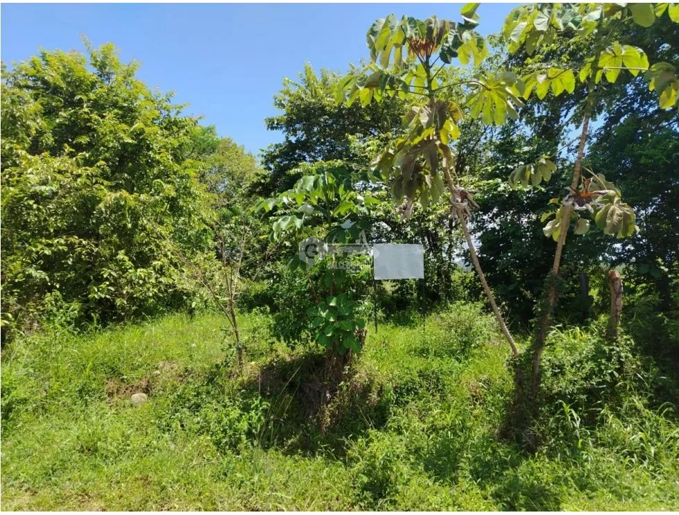 Building Lot for sale in David