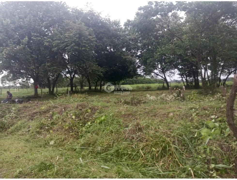 Building Lot for sale in David