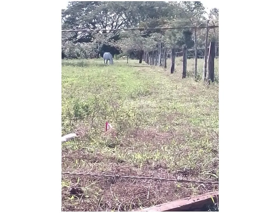 Building Lot for sale in David