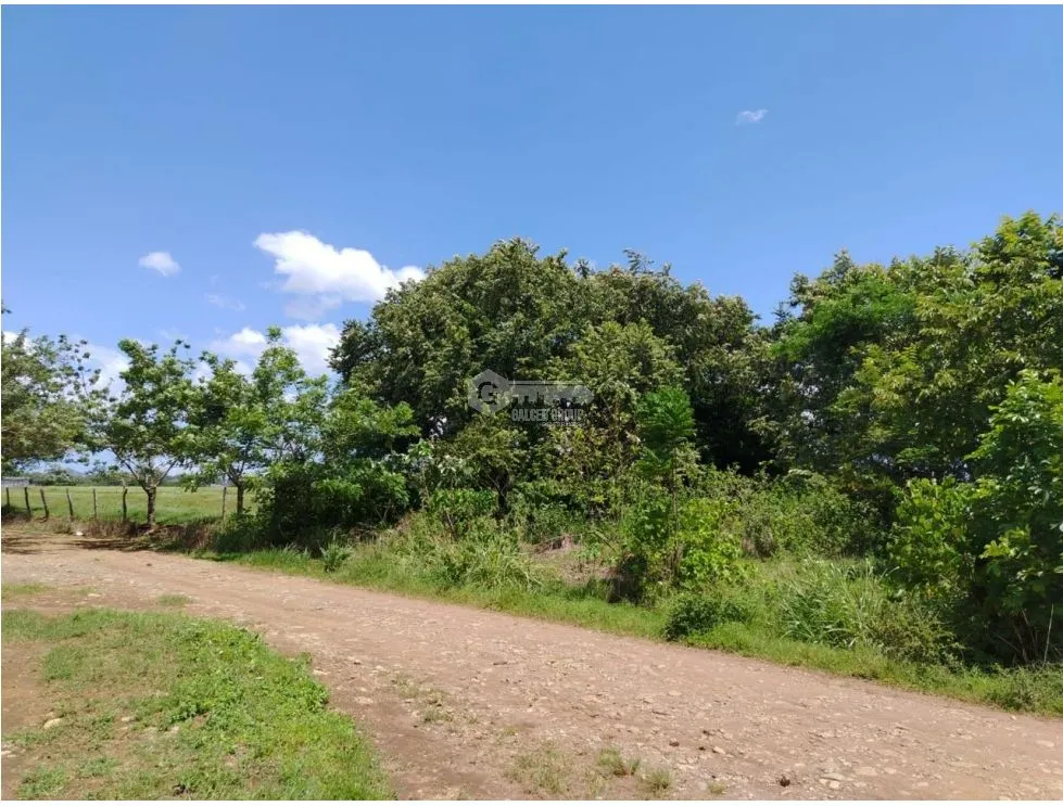 Building Lot for sale in David