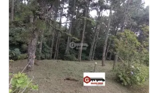 建筑很多 在 Chame 出售