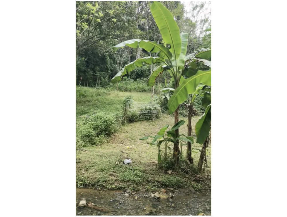 Single Family House for sale in Panama