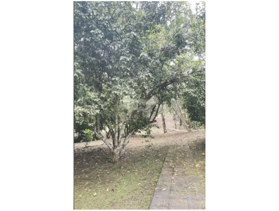Single Family House for sale in Panama
