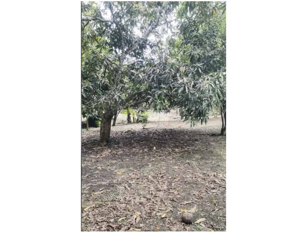 Single Family House for sale in Panama