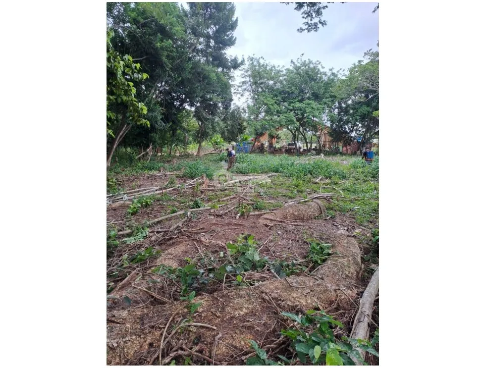LA CHORRERA / WAREHOUSE / LAND / 5,000m² / PANAMERICAN HIGHWAY MB