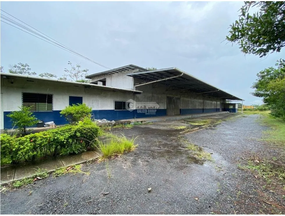 LA CHORRERA / WAREHOUSE / LAND / 5,000m² / PANAMERICAN HIGHWAY MB