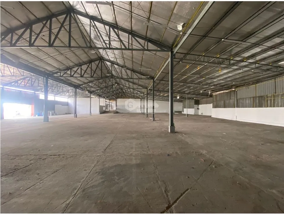 Warehouse for rent in Tocumen