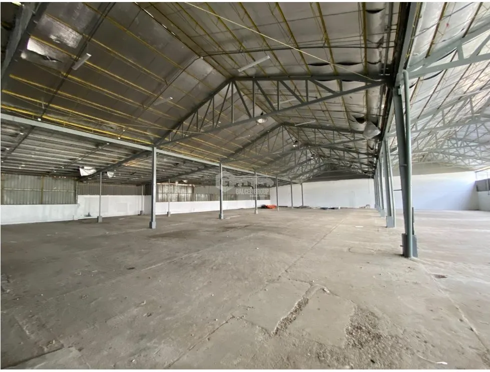 GALERA / TOCUMEN STORAGE COMPLEX / 1250 M2 / VIA PRINCIPAL / VACIO