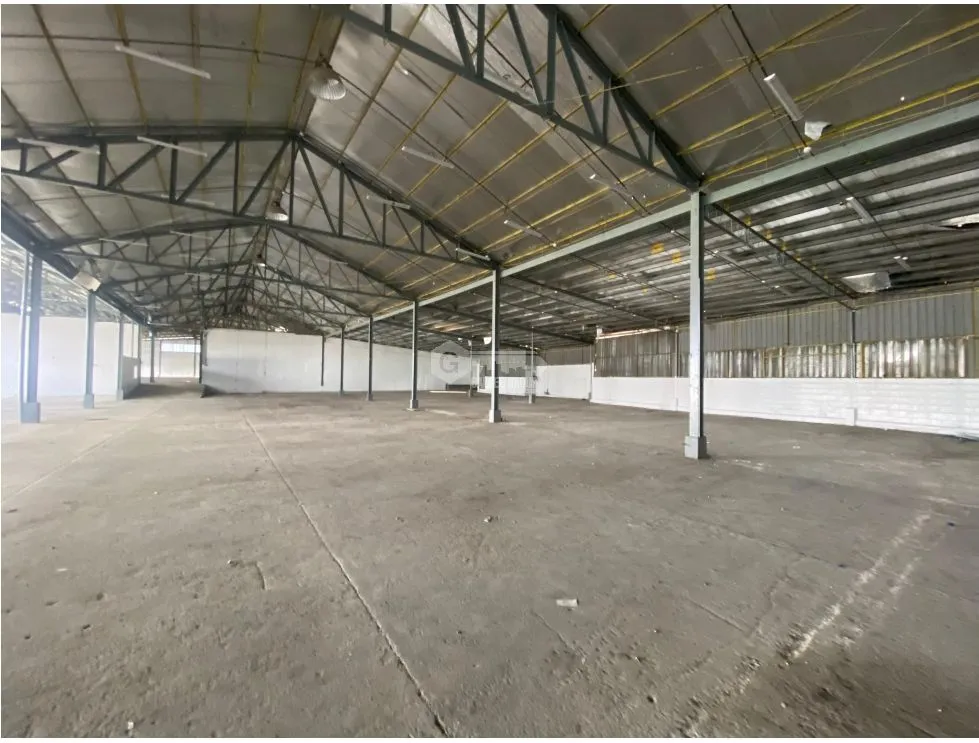 Warehouse for rent in Tocumen