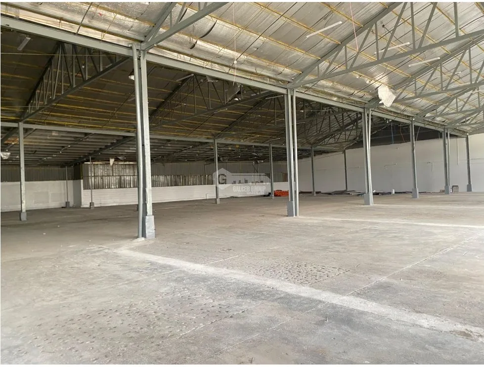 Warehouse for rent in Tocumen