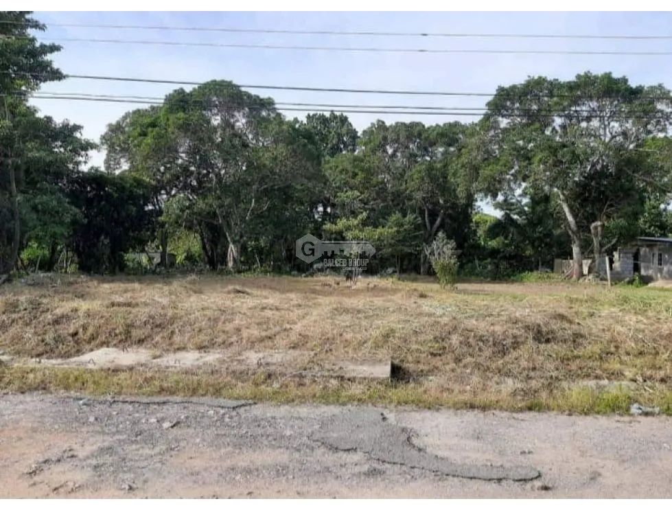Building Lot for sale in Penonome