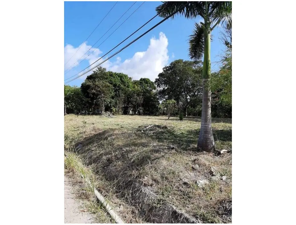 Building Lot for sale in Penonome