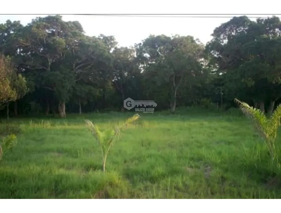 Building Lot for sale in Penonome
