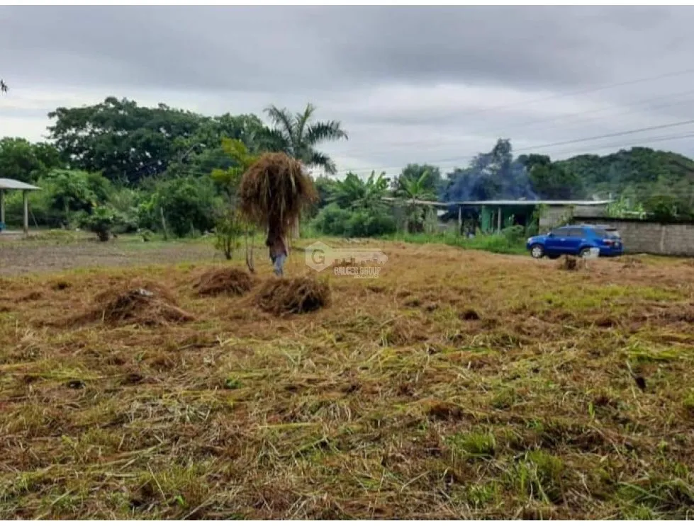 Building Lot for sale in Penonome