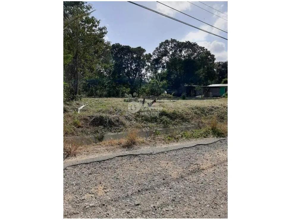Building Lot for sale in Penonome