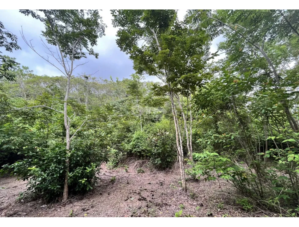 Building Lot for sale in Santa Rita