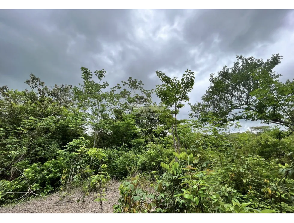 Building Lot for sale in Santa Rita