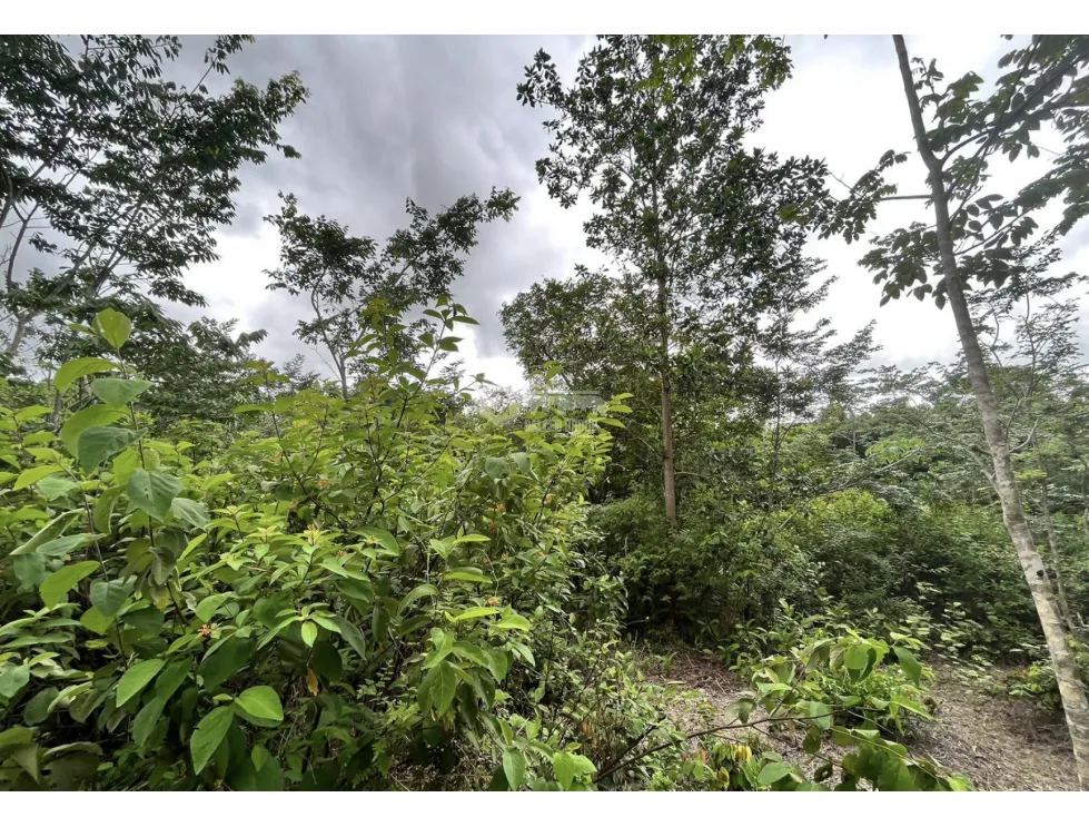 Building Lot for sale in Santa Rita