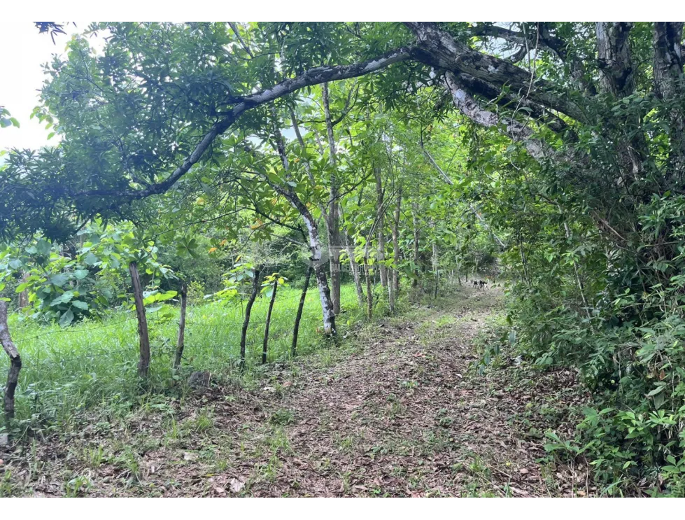 Building Lot for sale in Santa Rita