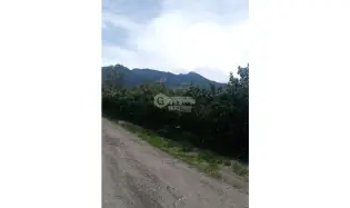 建筑很多 在 Palmira 出售