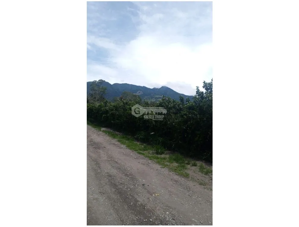建筑很多 在 Palmira 出售