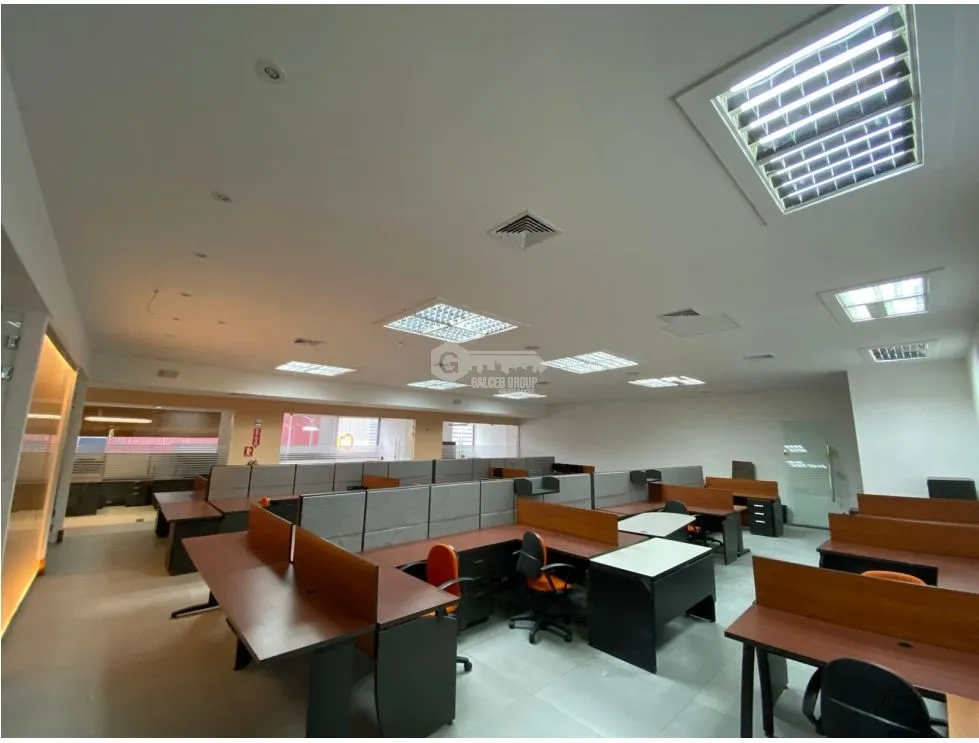 CALLE 50 / PLAZA CALLE 50 / 430 M2 / DIVISIONES / 8 PARKING / AMOBLADO