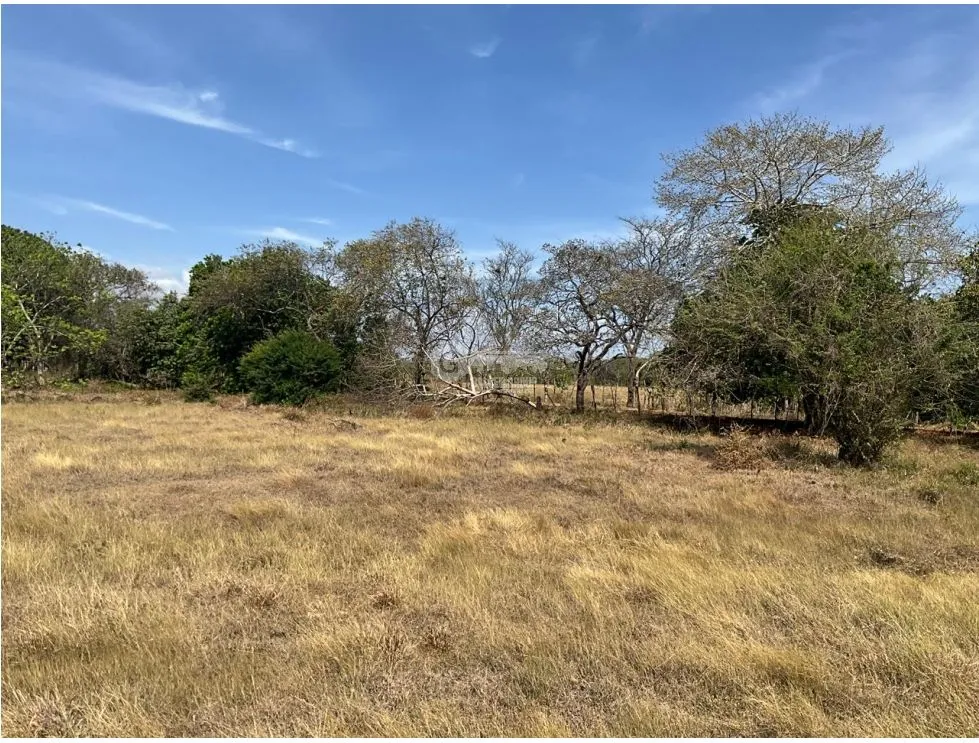 LAS TABLAS / FINCA / 3 HECTAREAS / POZO DE AGUA