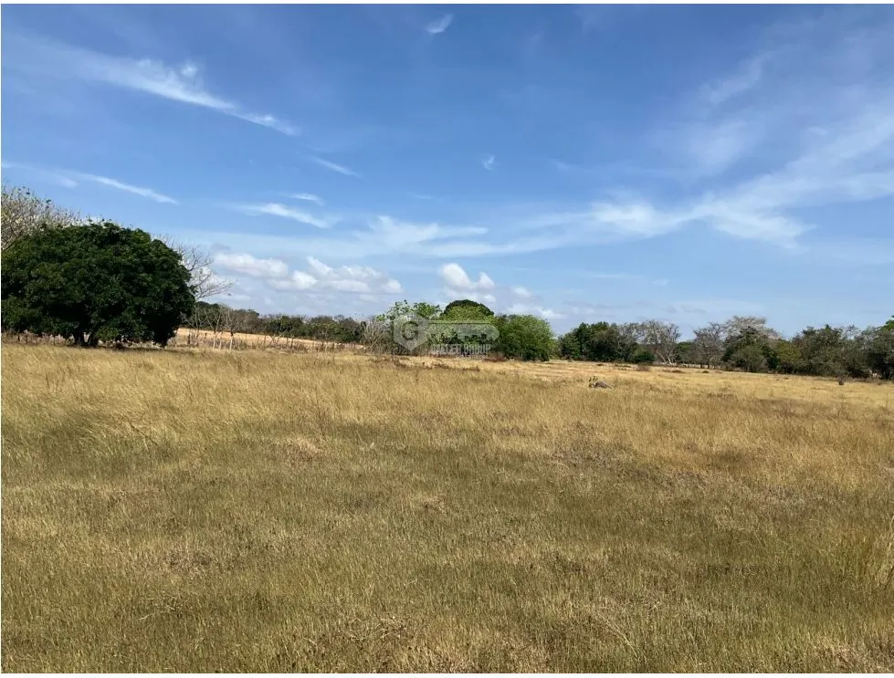 LAS TABLAS / FINCA / 3 HECTAREAS / POZO DE AGUA