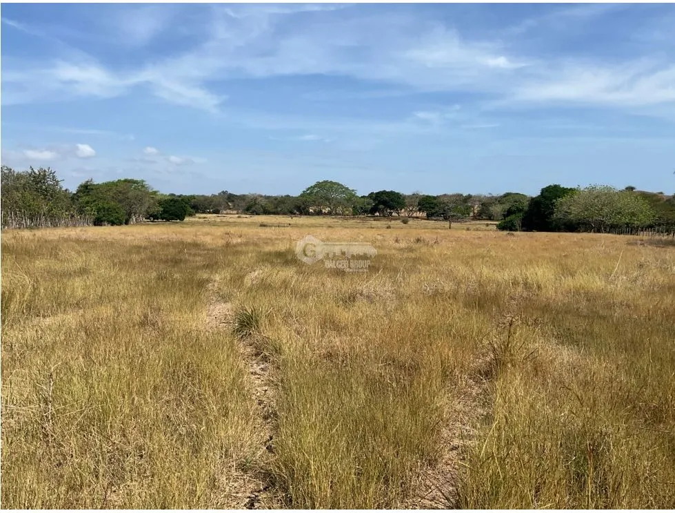 LAS TABLAS / FINCA / 3 HECTAREAS / POZO DE AGUA