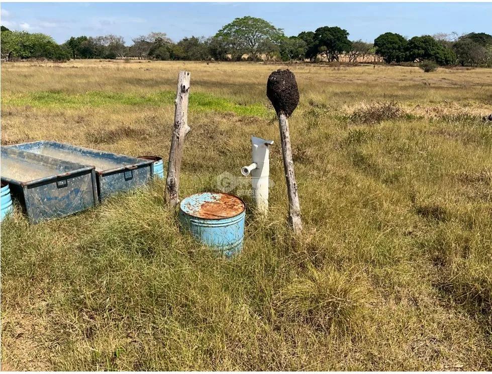 LAS TABLAS / FINCA / 3 HECTAREAS / POZO DE AGUA