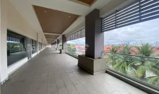 LOCAL COMERCIAL / PASEO ALBROOK / PLANTA ALTA / 246M / TERRAZA