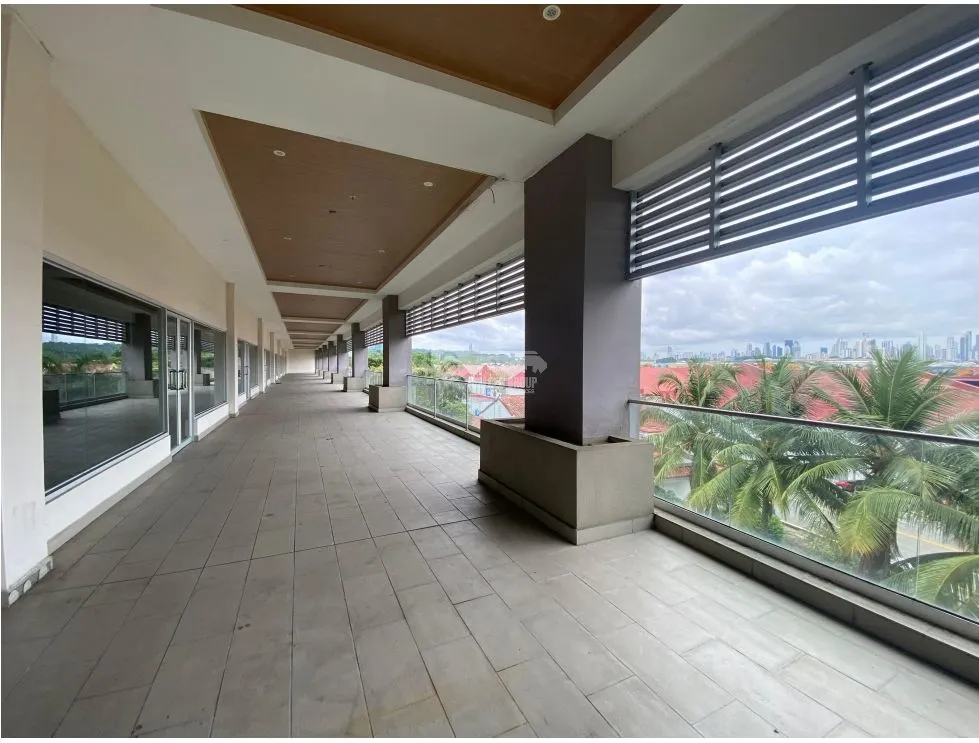 LOCAL COMERCIAL / PASEO ALBROOK / PLANTA ALTA / 246M / TERRAZA