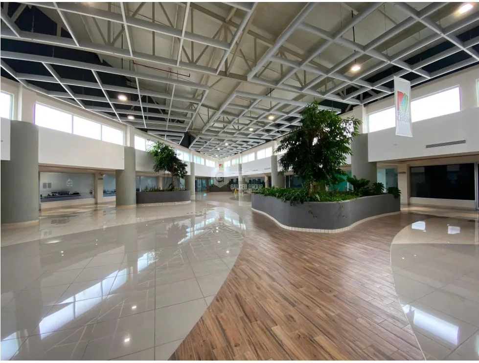 ALBROOK / COMMERCIAL SPACE / PASEO ALBROOK / GROUND FLOOR / 1649M