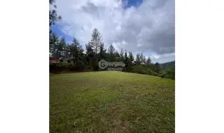建筑很多 在 Cerro Azul 出售