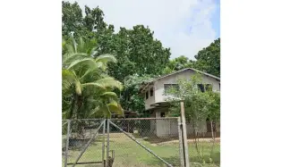 LAND WITH HOUSE / SAN MARTIN / 4,565M2
