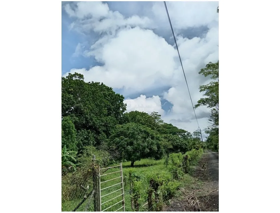 LAND WITH HOUSE / SAN MARTIN / 4,565M2
