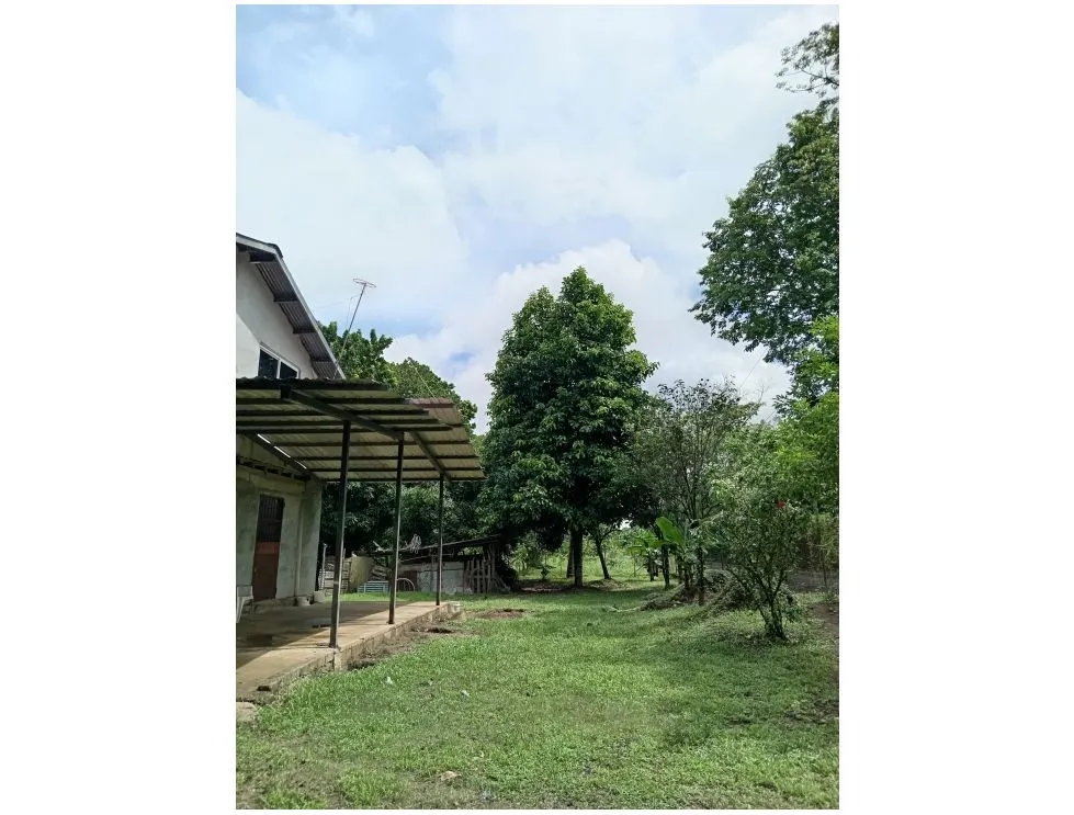 LAND WITH HOUSE / SAN MARTIN / 4,565M2