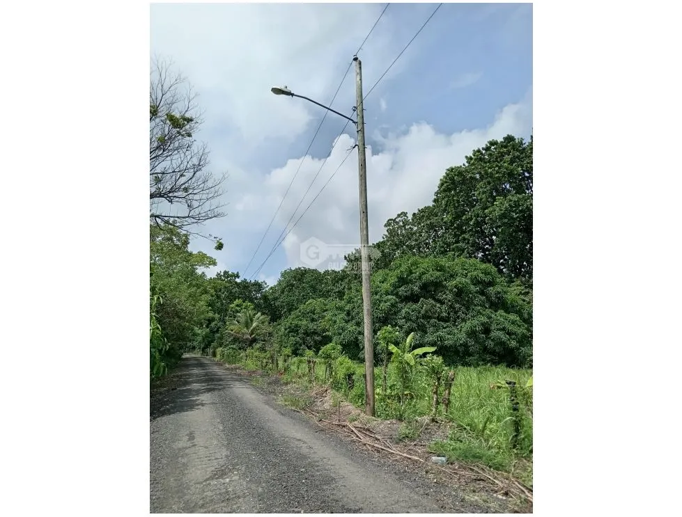 LAND WITH HOUSE / SAN MARTIN / 4,565M2
