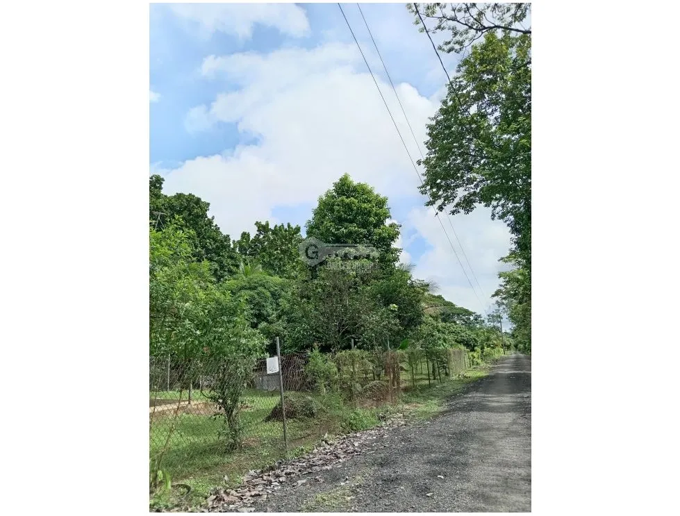 LAND WITH HOUSE / SAN MARTIN / 4,565M2