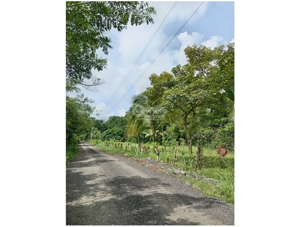 LAND WITH HOUSE / SAN MARTIN / 4,565M2