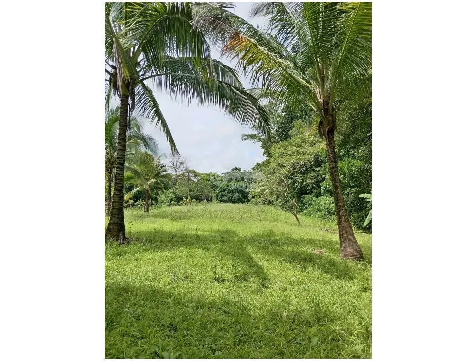 LAND WITH HOUSE / SAN MARTIN / 4,565M2