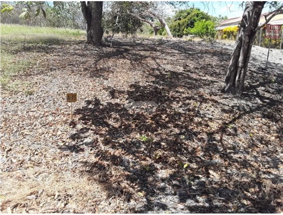 Building Lot for sale in San Carlos