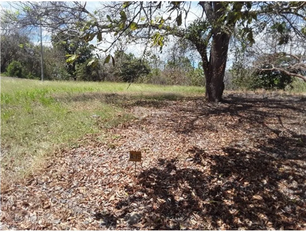 Building Lot for sale in San Carlos