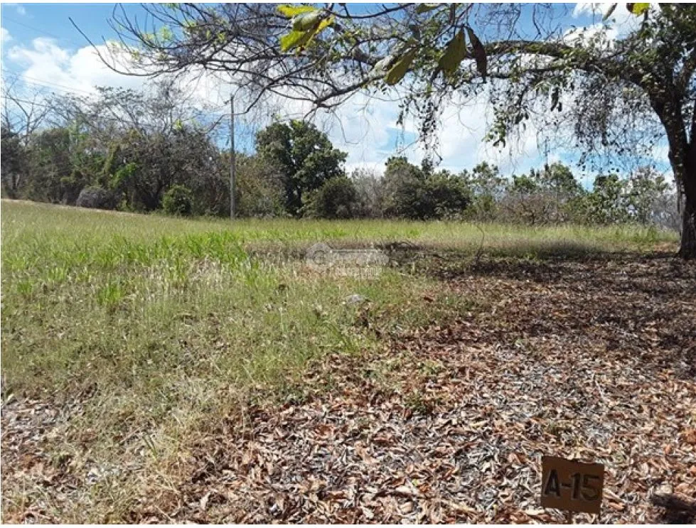 Building Lot for sale in San Carlos