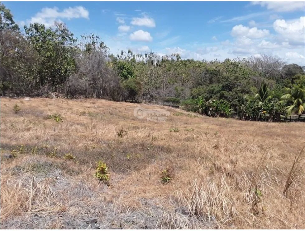 Building Lot for sale in San Carlos