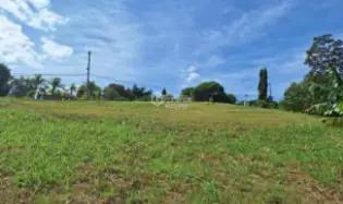 Building Lot for sale in San Carlos