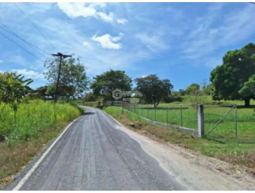 Building Lot for sale in San Carlos