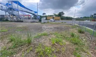 TERRENO / TOCUMEN / CABUYA / 460M / VIA PRINCIPAL / ORILLA CALLE JC