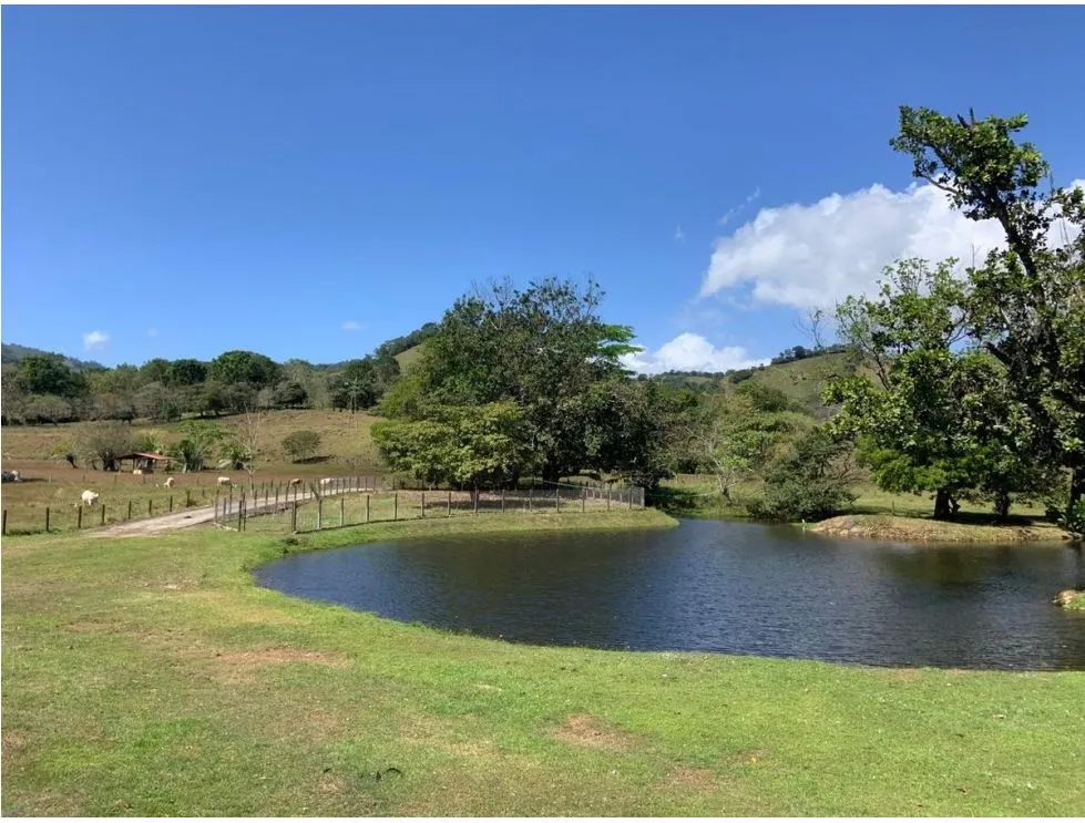 Land/Farm for sale in Panama