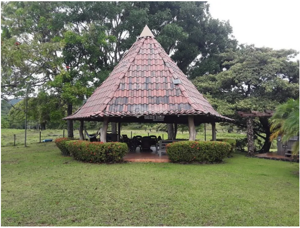 Land/Farm for sale in Panama